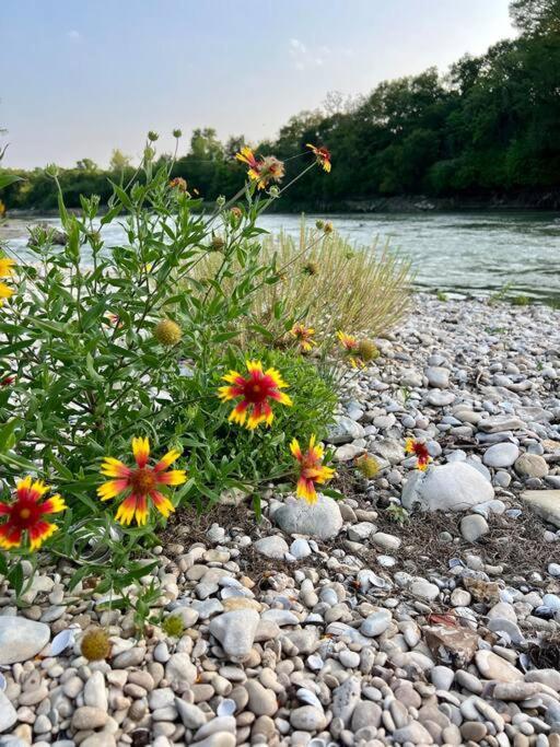 The River Haven - Sleeps 32 - On Guadalupe River Seguin Exteriér fotografie